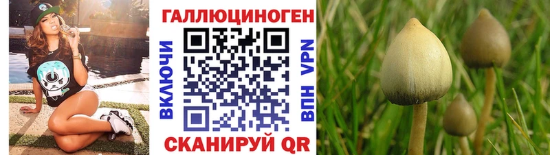 Псилоцибиновые грибы ЛСД  купить  сайты  МЕГА сайт  Пионерский 